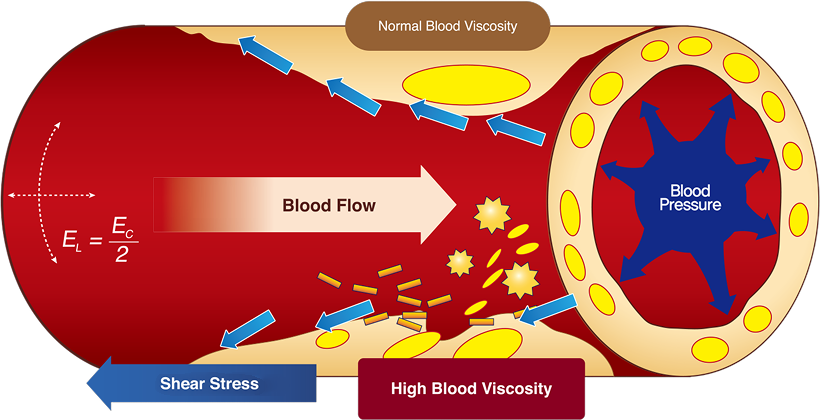 blood viscosity